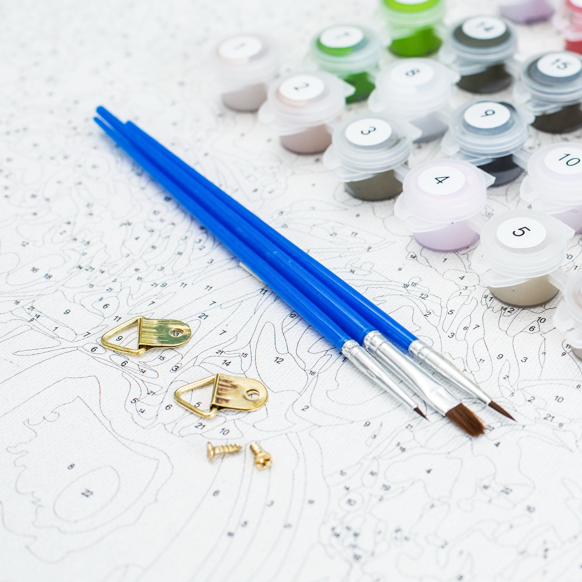 Colorful World