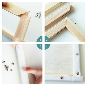Cat for Kids
