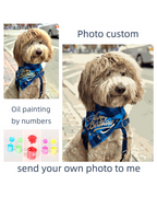 Custom Paint by Numbers