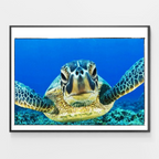 Blue Sea Turtle