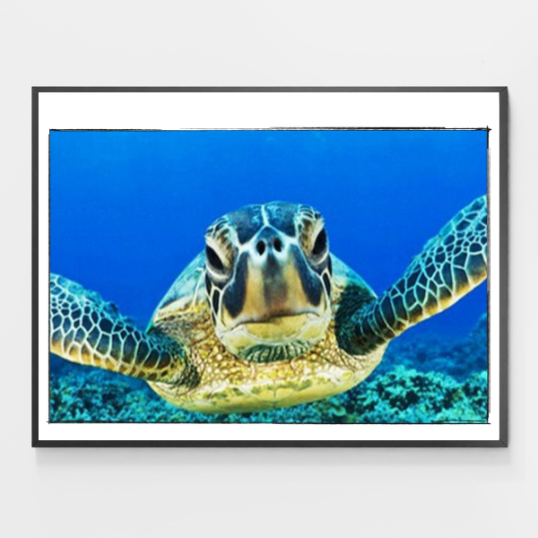 Blue Sea Turtle