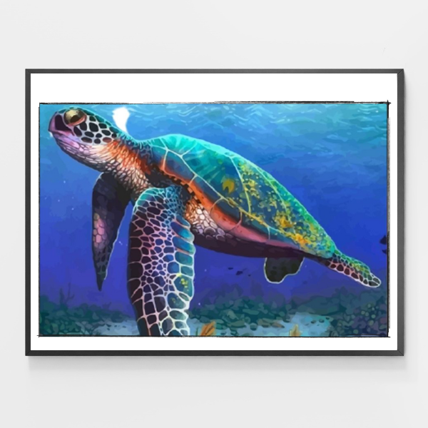 Claire The Turtle