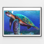 Claire The Turtle