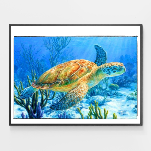 Ancient Mariner Turtle