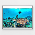 Deep Blue Sea Turtle