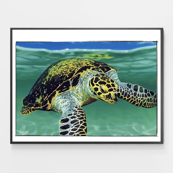 Grandpa Jay The Turtle