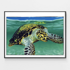 Grandpa Jay The Turtle
