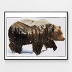 Bear In Woods