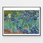 Van Gogh Irises