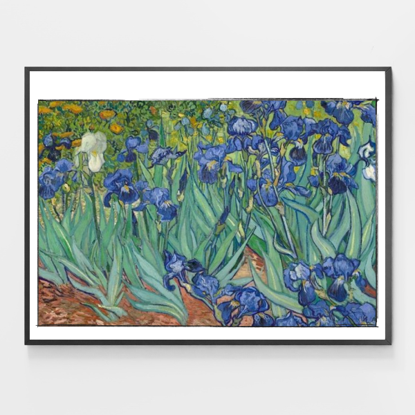 Van Gogh Irises