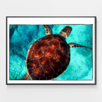 Tortue marine nageuse - Peinture par numéros DIY