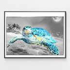 Turtle Dream