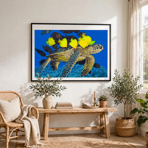 Aquarium