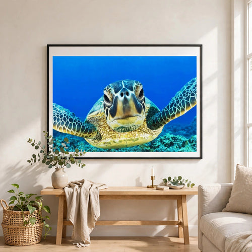 Blue Sea Turtle