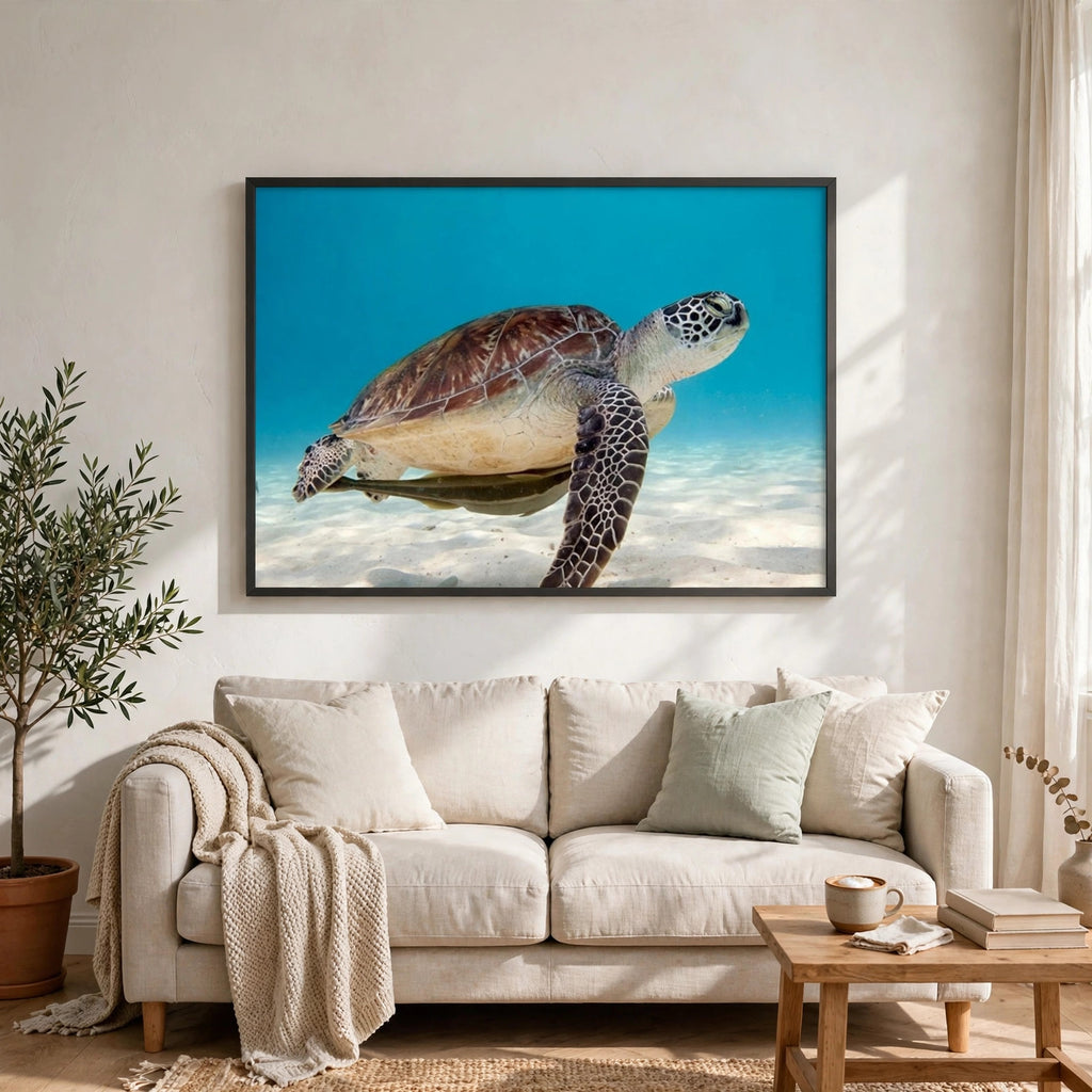 Green Sea Turtle