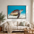 Green Sea Turtle
