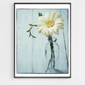 Solitary Flower